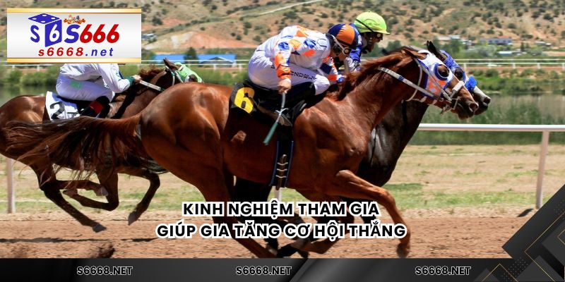 Kinh nghiệm tham gia giúp gia tăng cơ hội thắng 