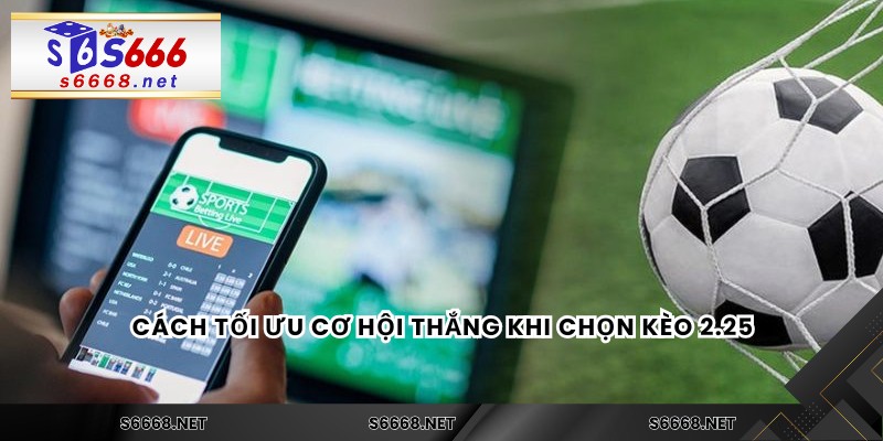 Cách tối ưu cơ hội thắng khi chọn kèo 2.25
